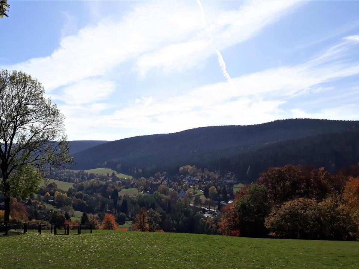 Cozy Apartment In Ore Mountains With Balcony Breitenbrunn  Esterno foto