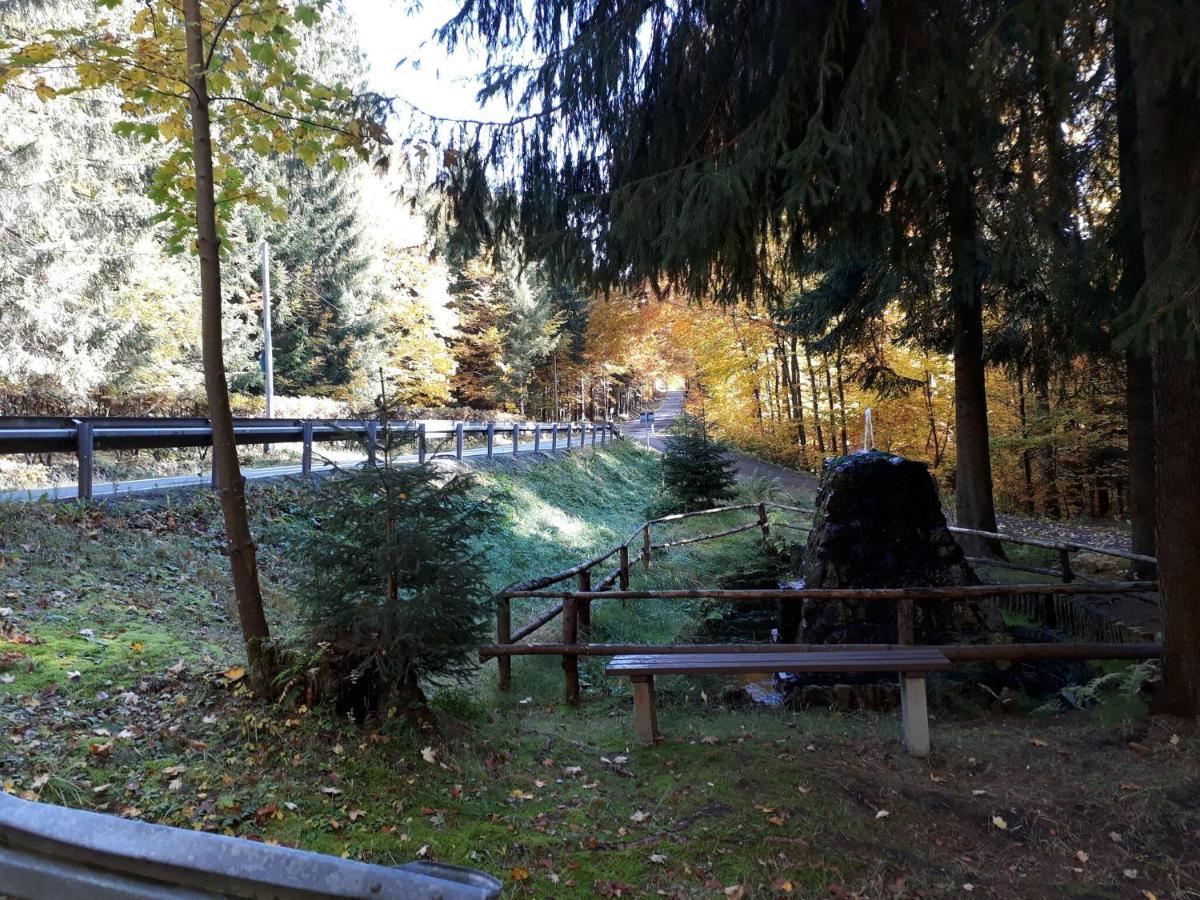 Cozy Apartment In Ore Mountains With Balcony Breitenbrunn  Esterno foto