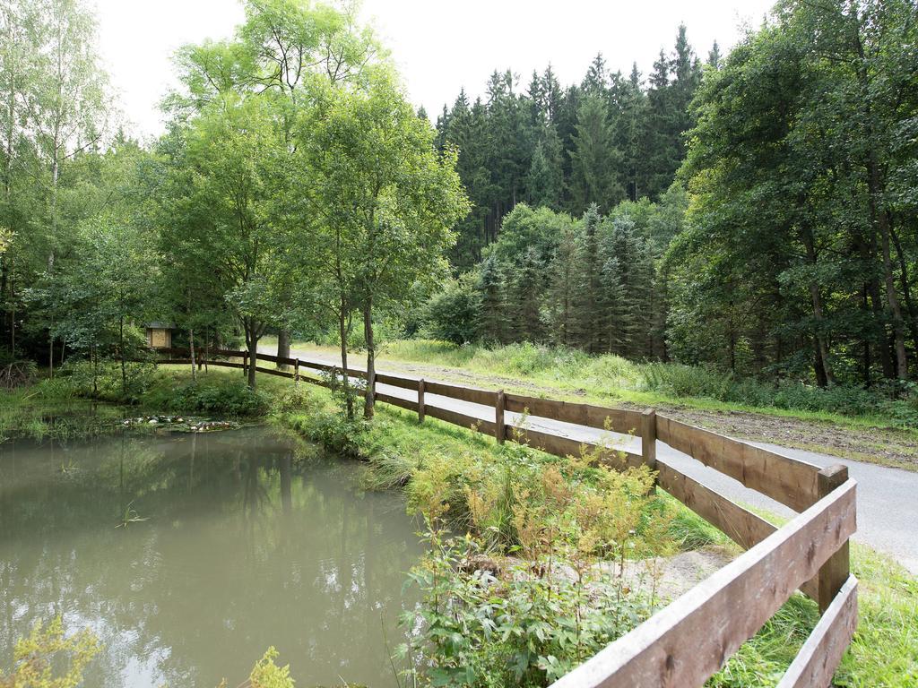 Cozy Apartment In Ore Mountains With Balcony Breitenbrunn  Esterno foto