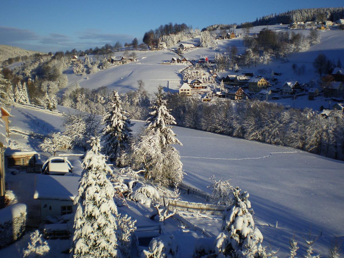 Cozy Apartment In Ore Mountains With Balcony Breitenbrunn  Esterno foto